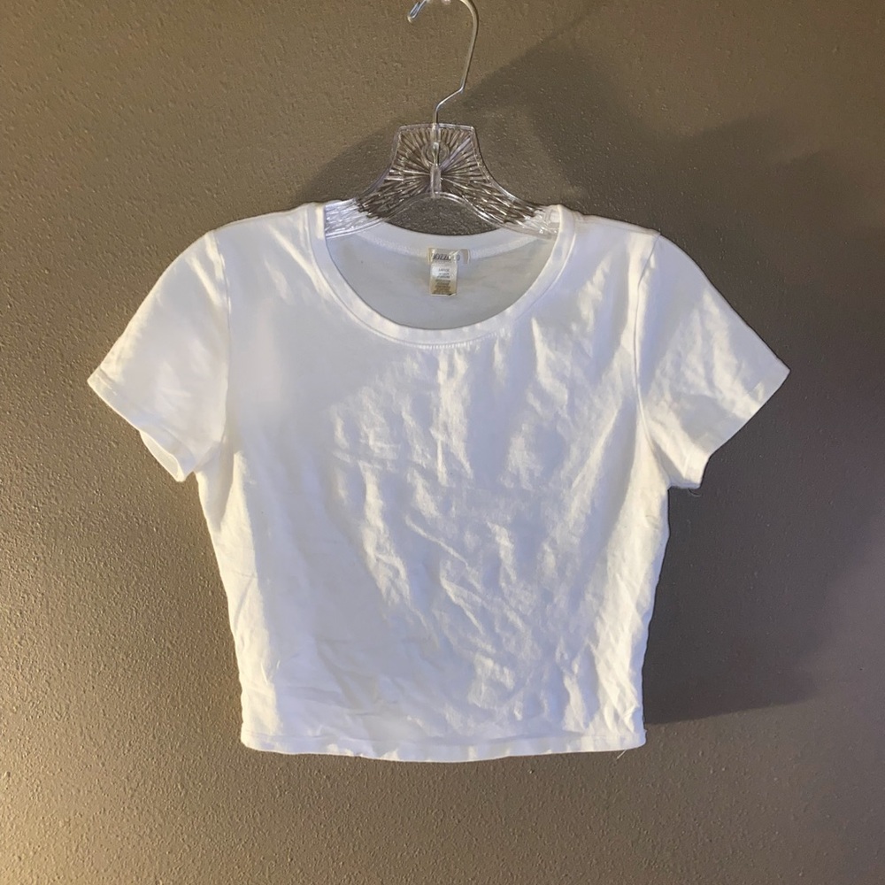 Crew Neck Crop Top